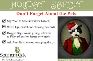 home safety pet safety
